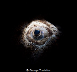 Stargazer Eye!!! by George Touliatos 